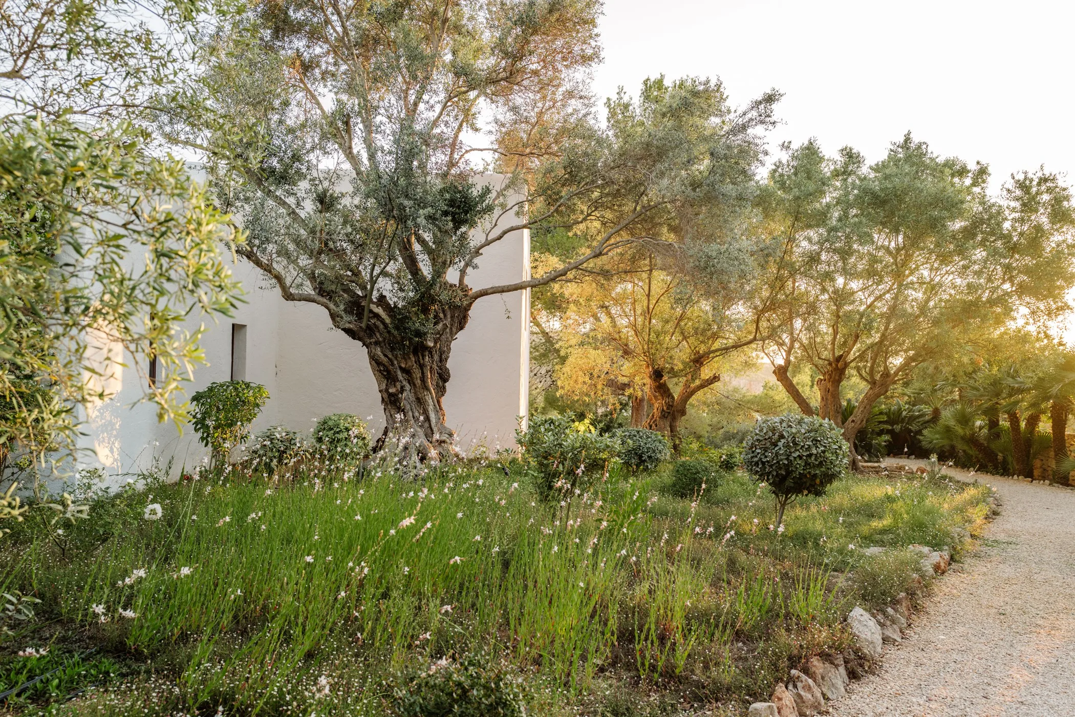 Can Xarraca — image 78