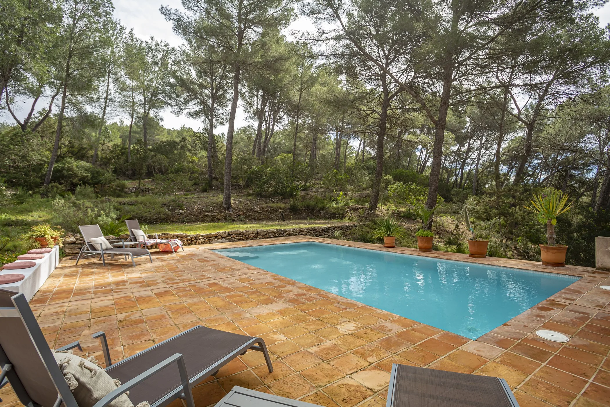 Finca Milena — image 58