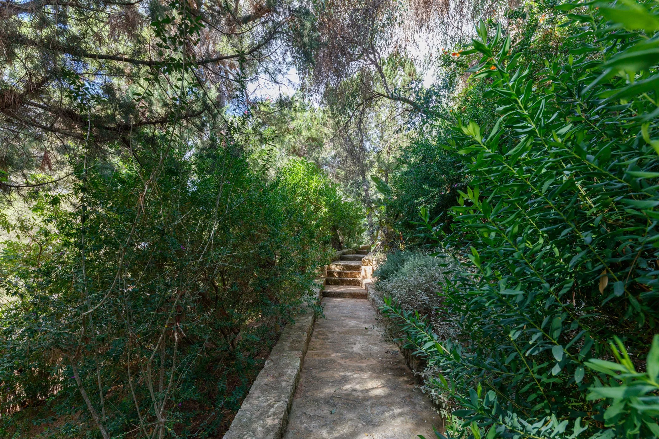 Villa Esther — image 71