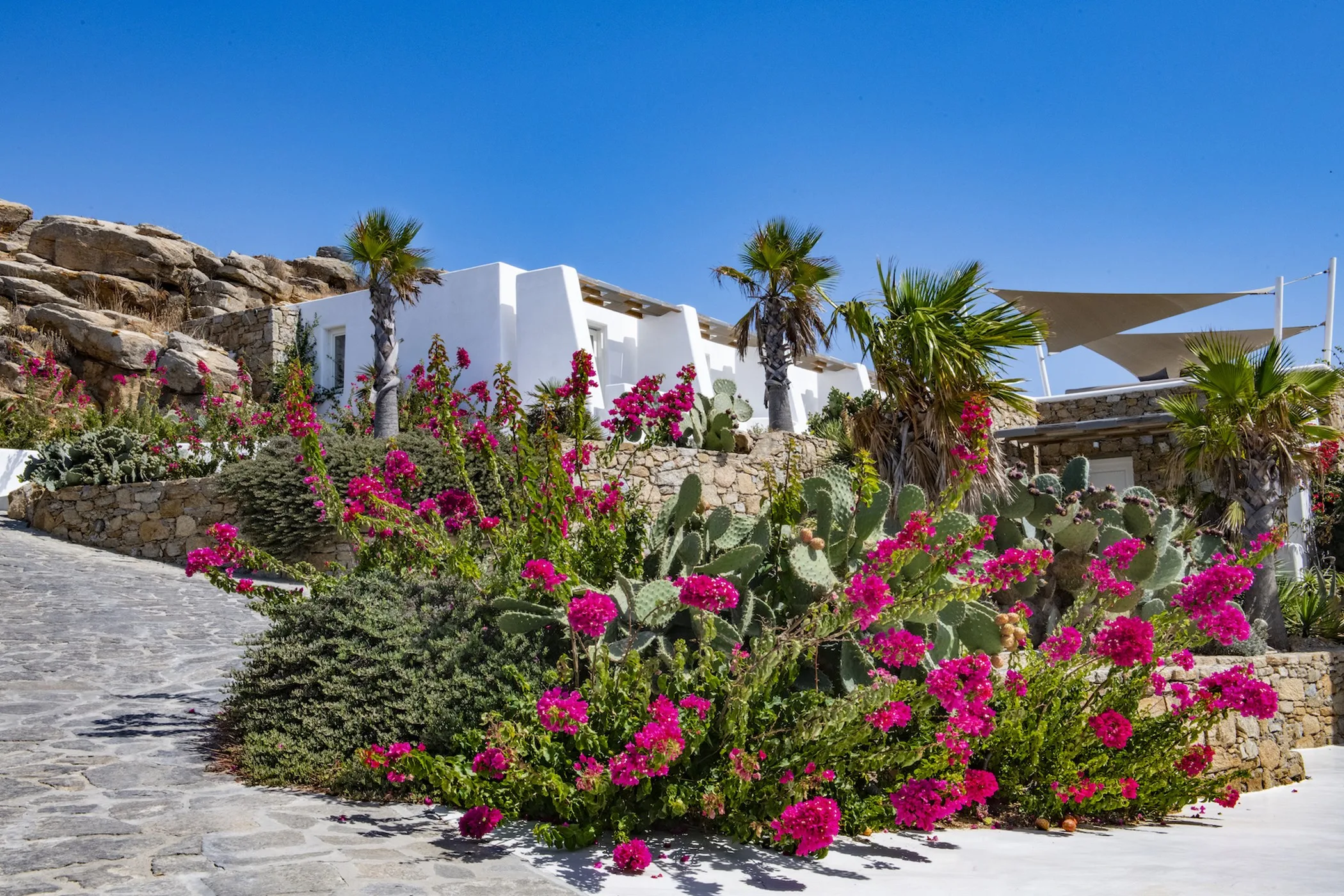 Luxury Suite Rylie — Ibiza