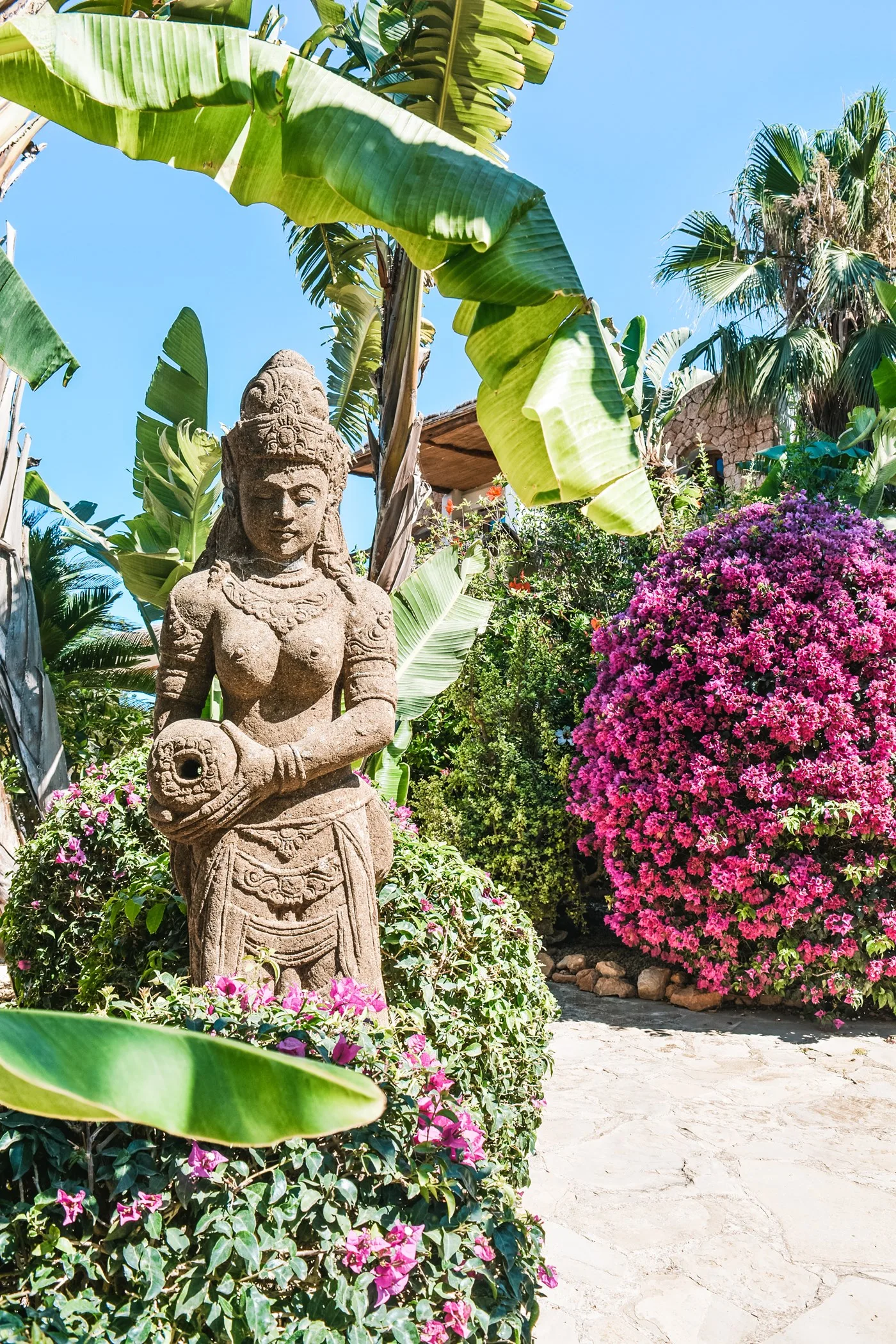 Cana Celeste — image 78