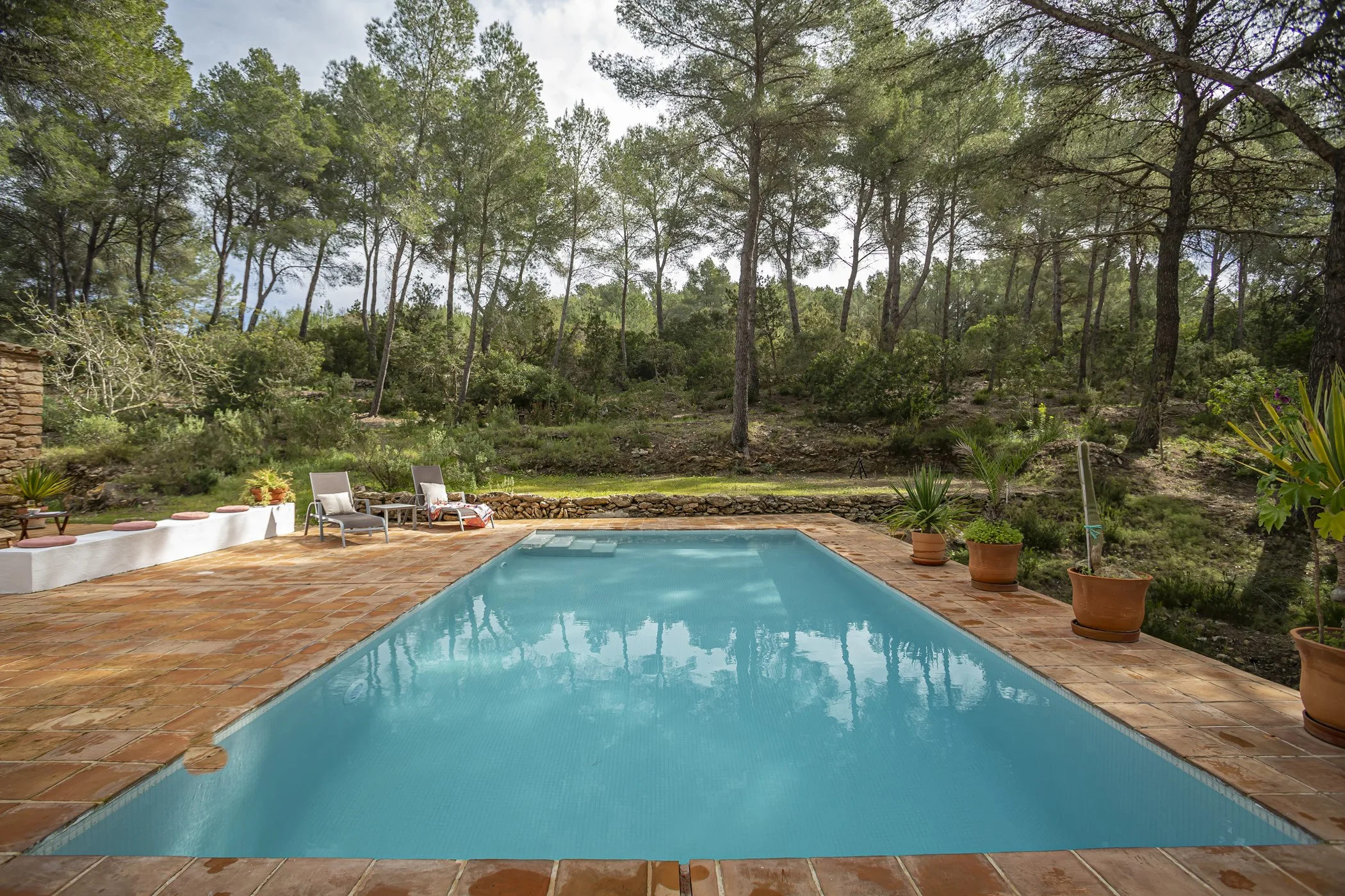 Finca Milena — santa-gertrudis