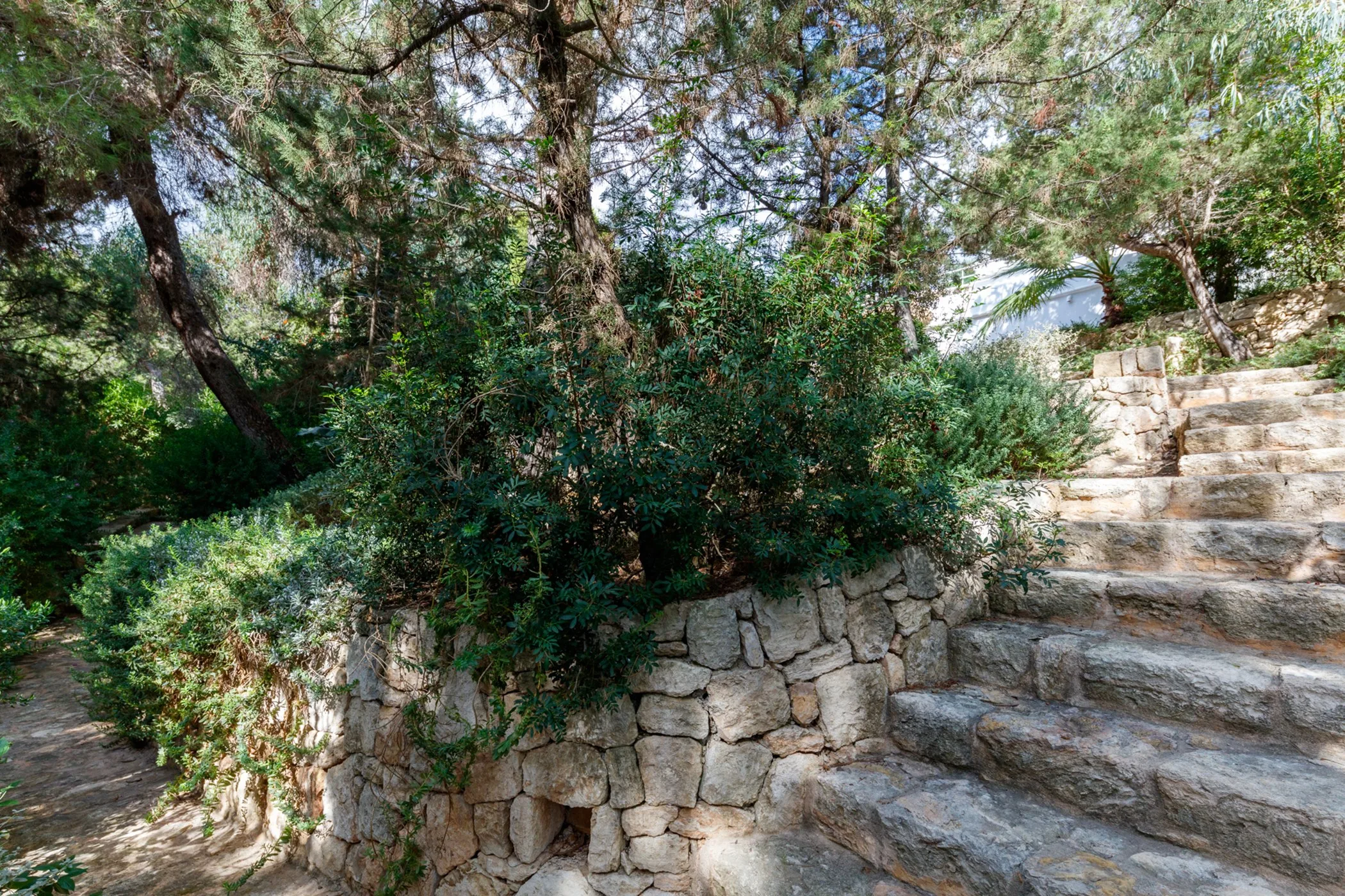 Villa Esther — image 61