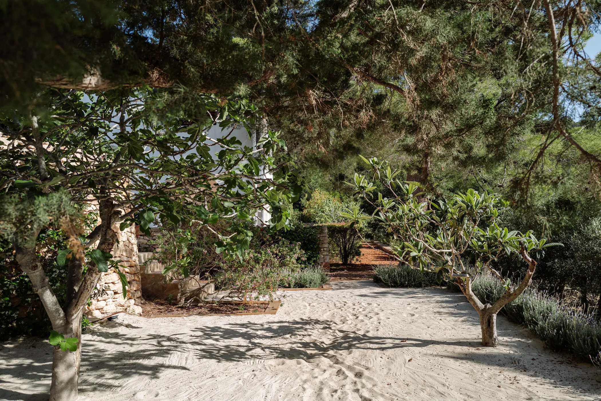 Can Xarraca — image 111
