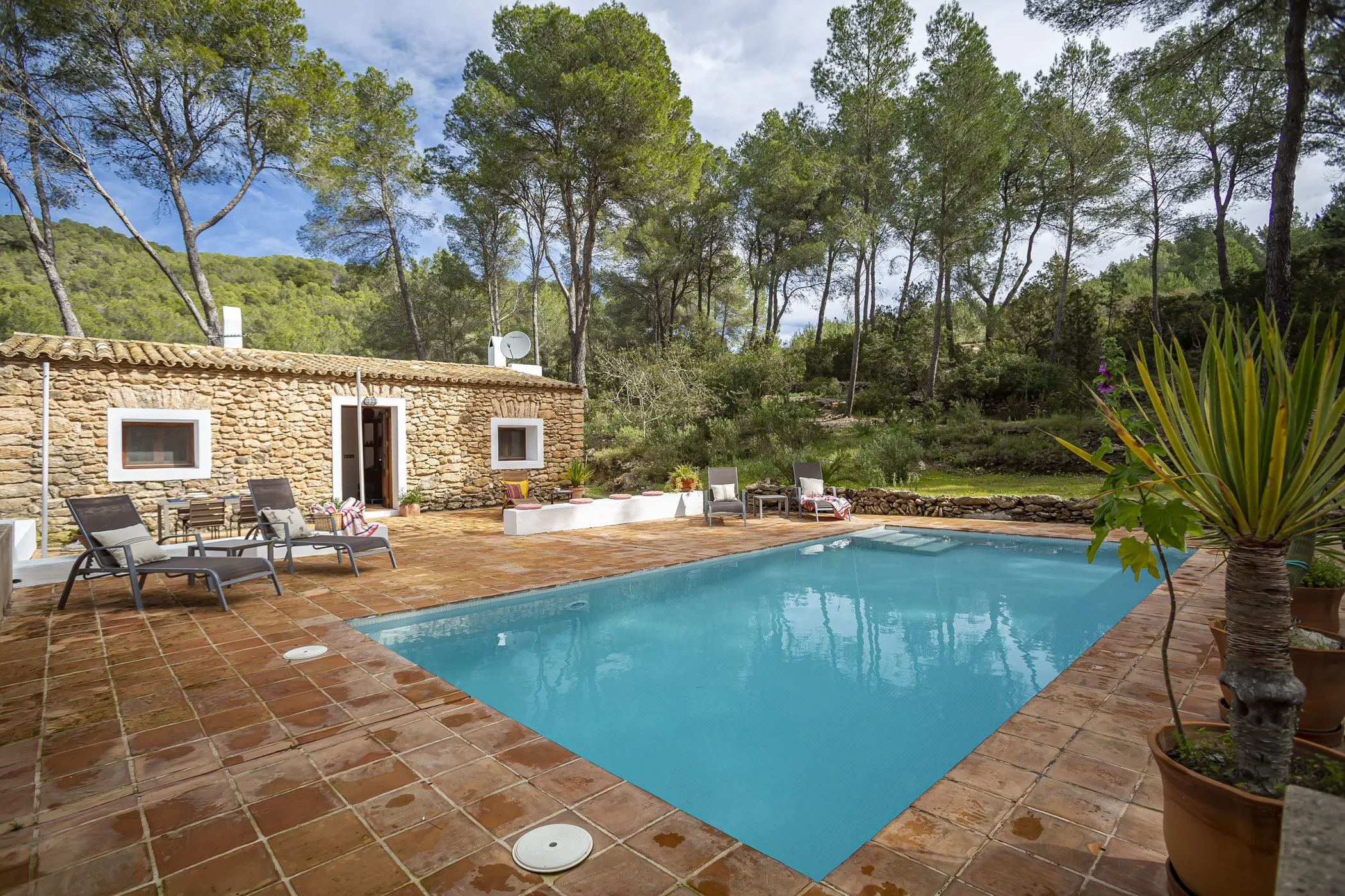 Finca Milena — image 55