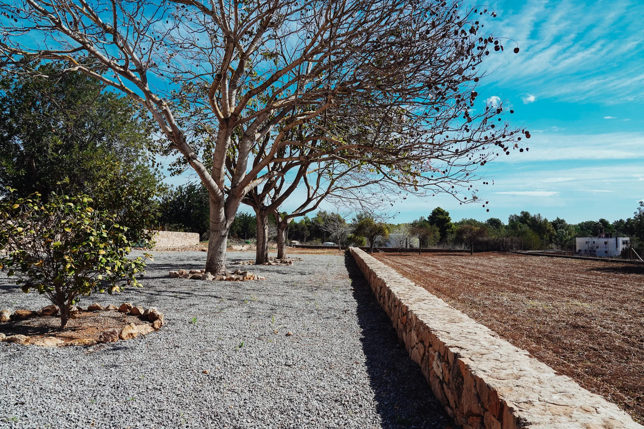 Villa Trevi — image 60