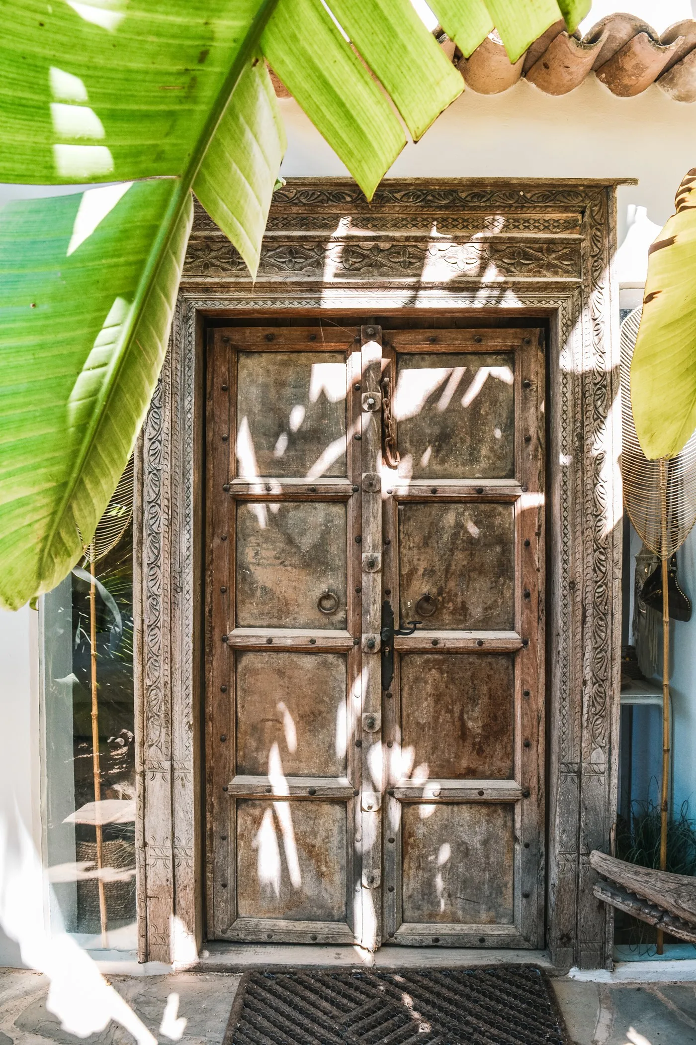 Cana Celeste — image 81