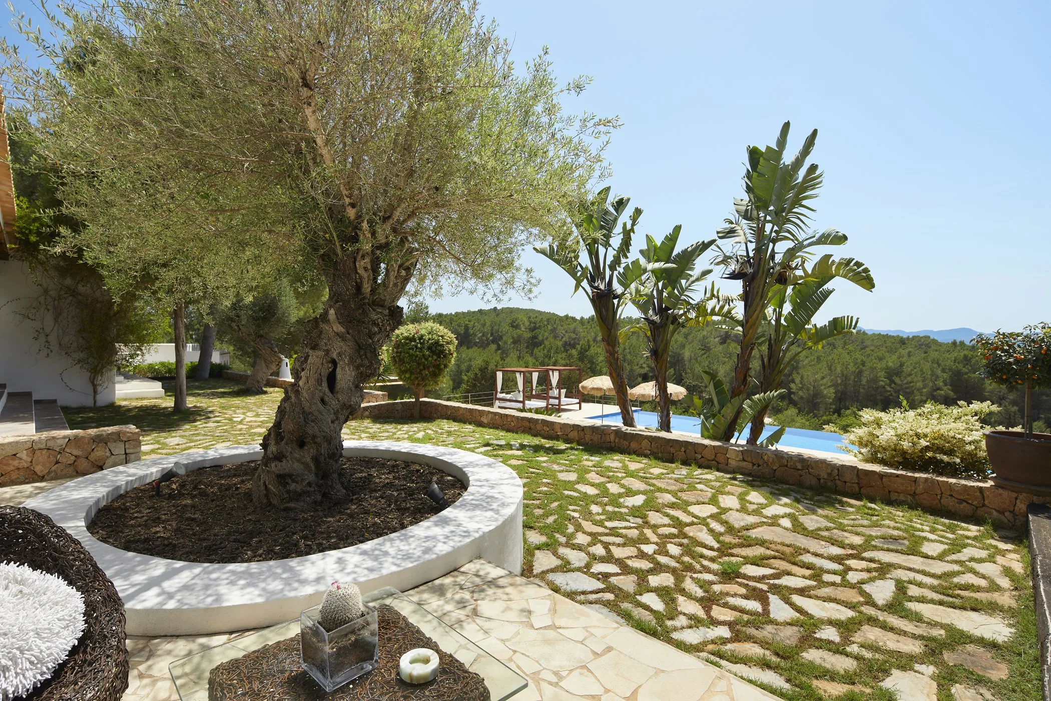 Villa Petunia — image 44