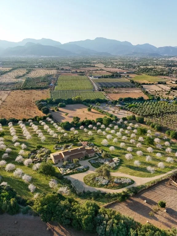 Casa Valle de los Almendros — luxury villa in Binissalem — photo 2
