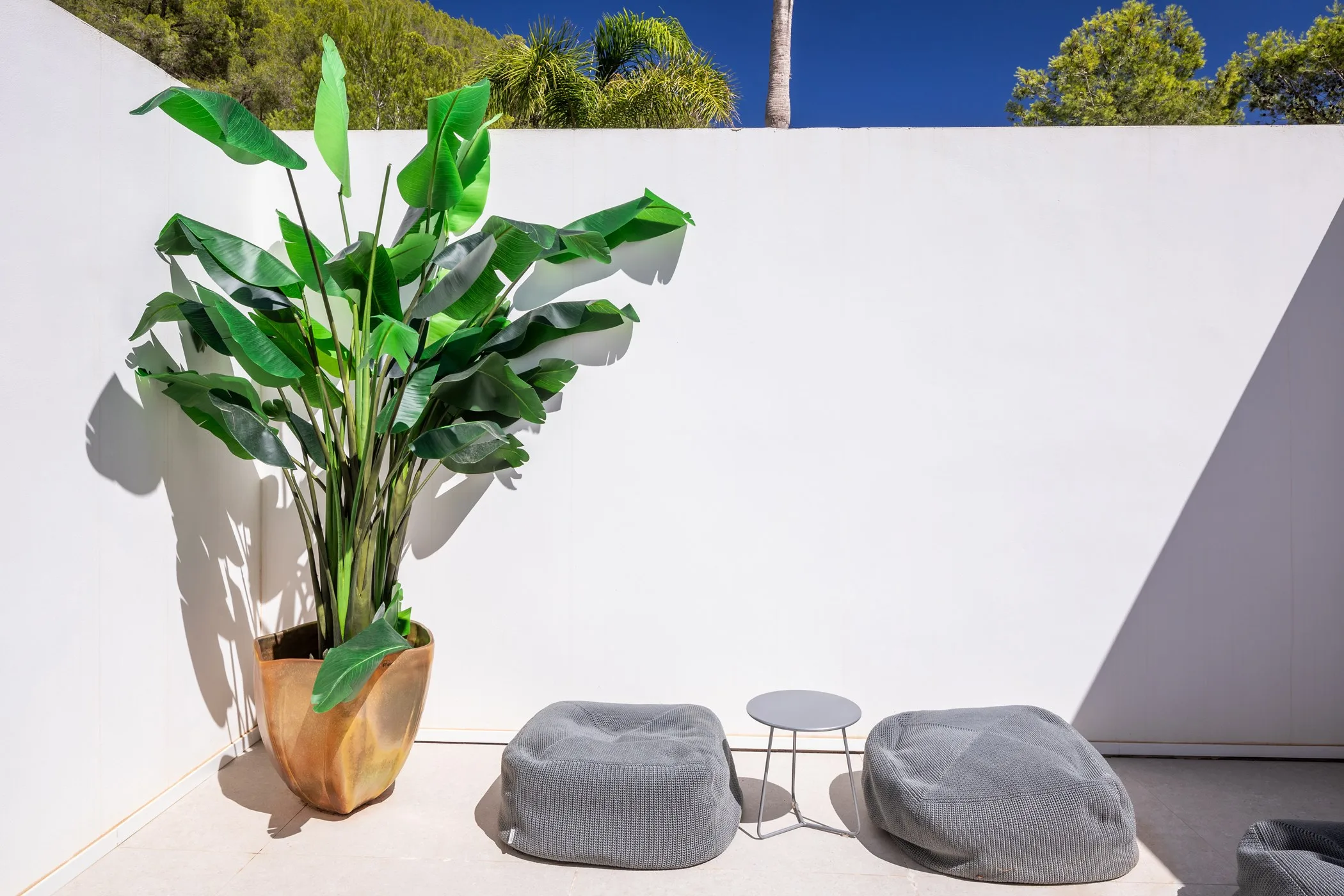 Can Danza — image 144