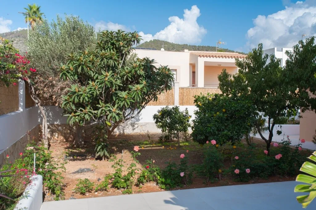 Can Moreno — image 24