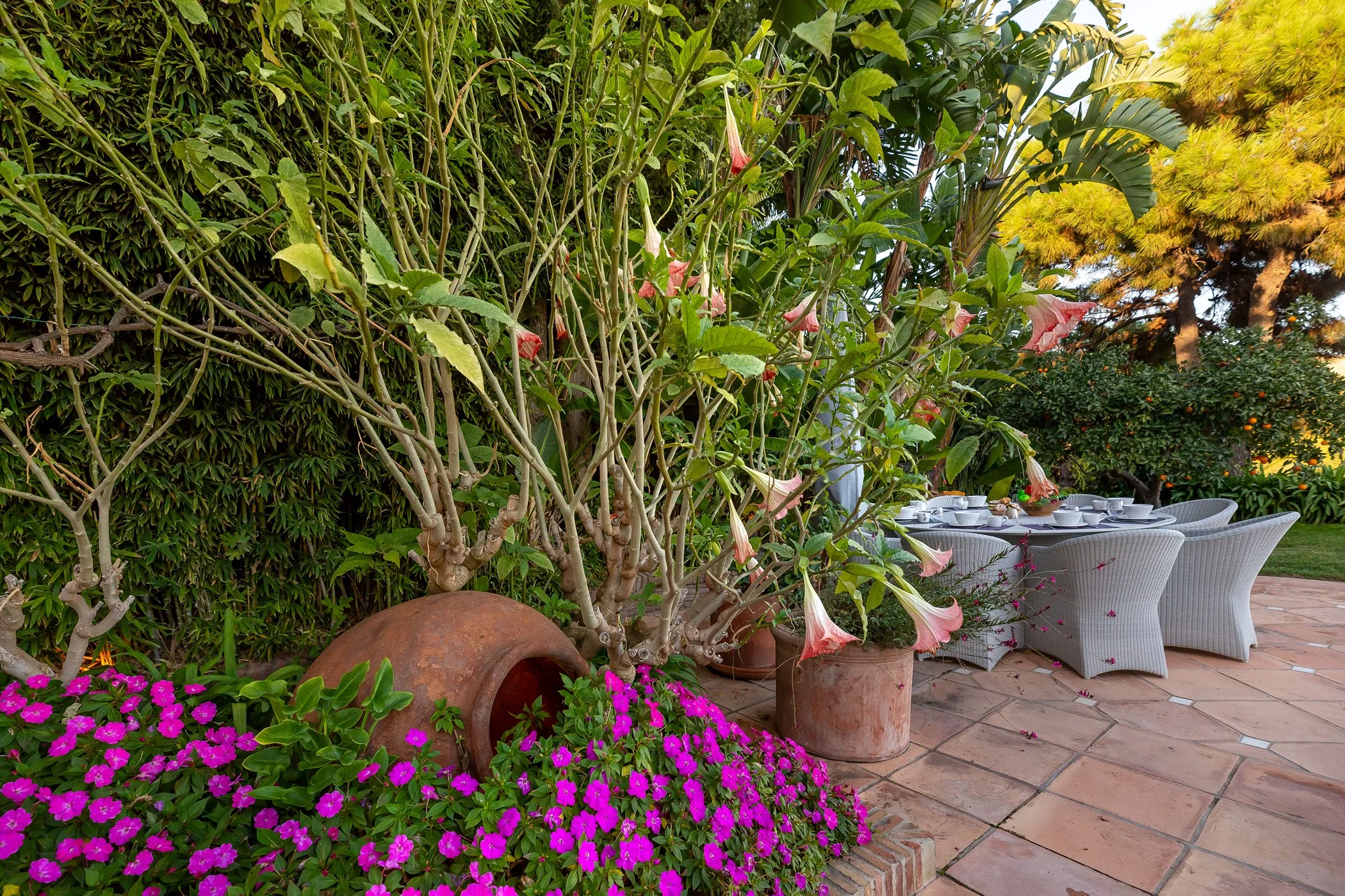 Villa El Olivar — image 34