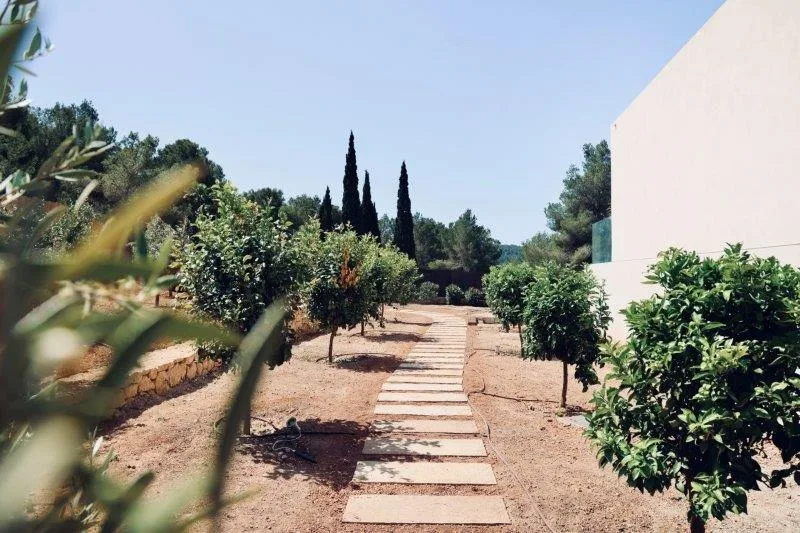 Villa Medina — image 20