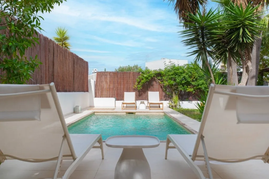 Casa Nash — luxury villa in Santa Gertrudis — photo 3