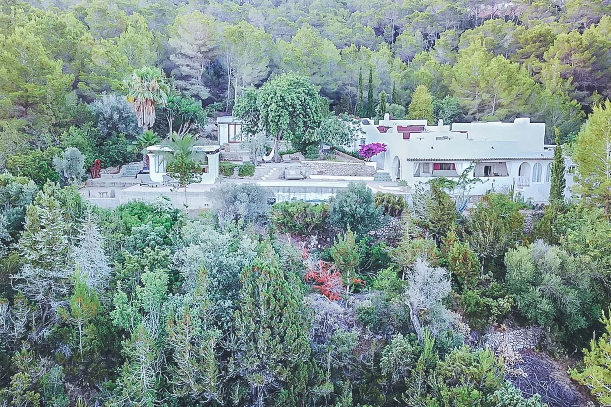Finca Luna — image 82