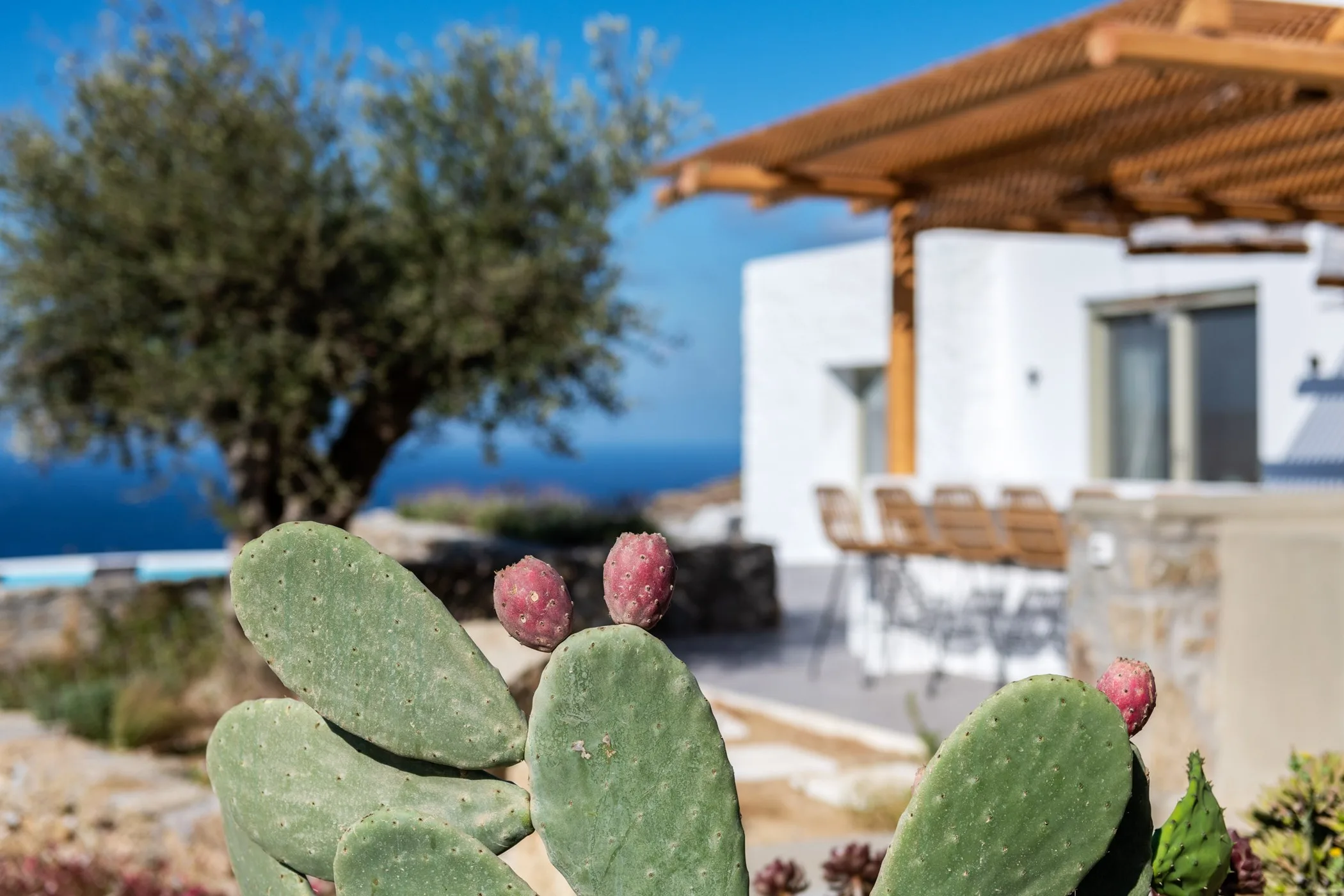 Villa Cassis — image 67