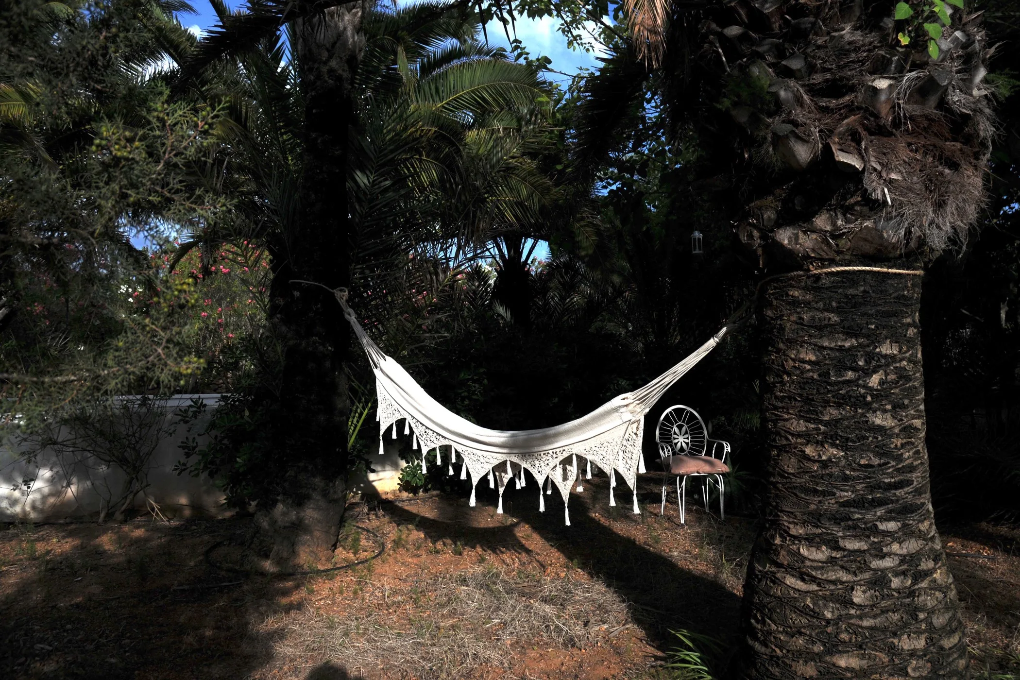 Villa Nicolas — image 8