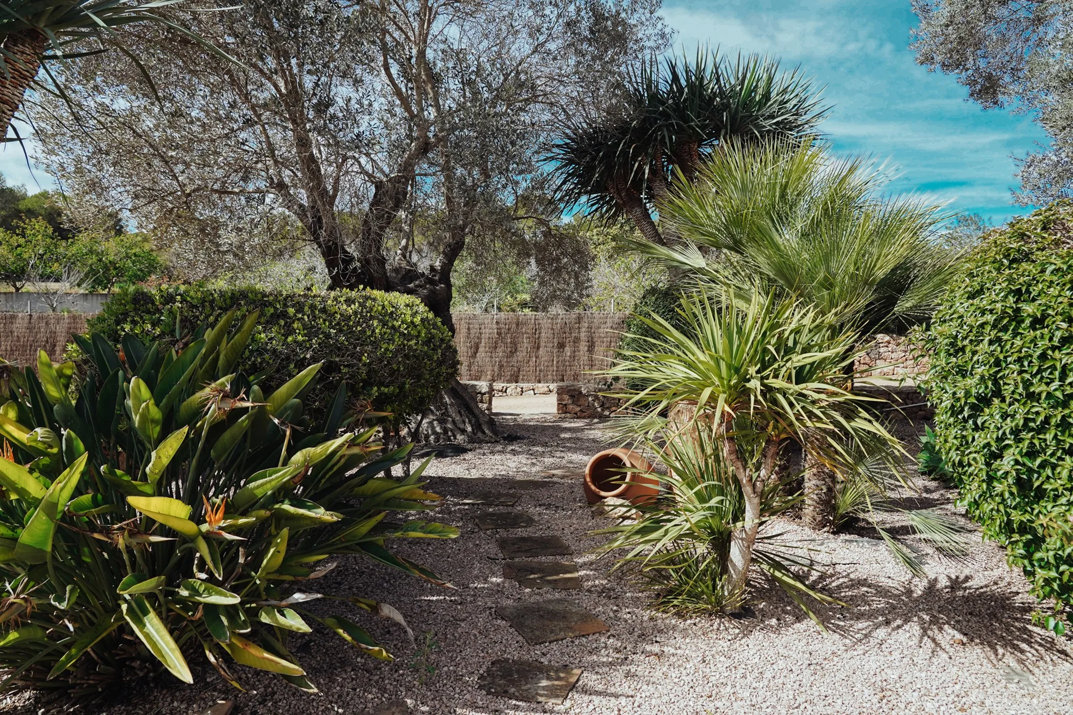 Villa Trevi — image 84