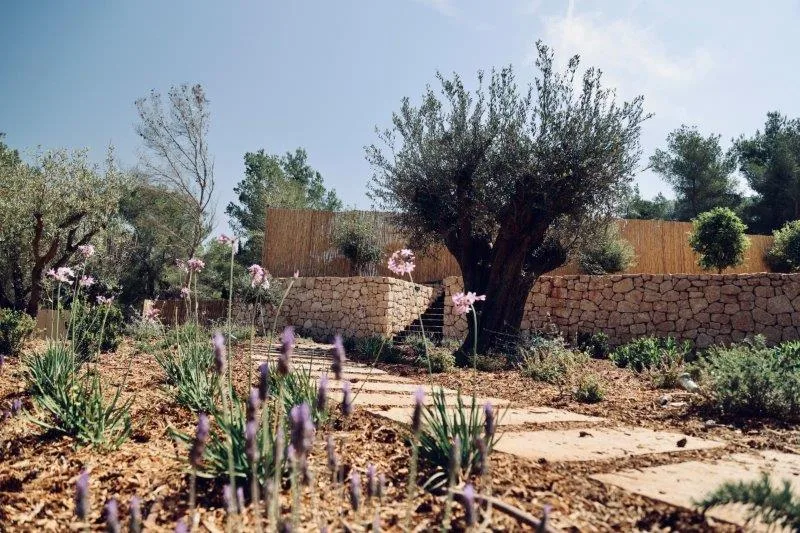 Villa Medina — image 21