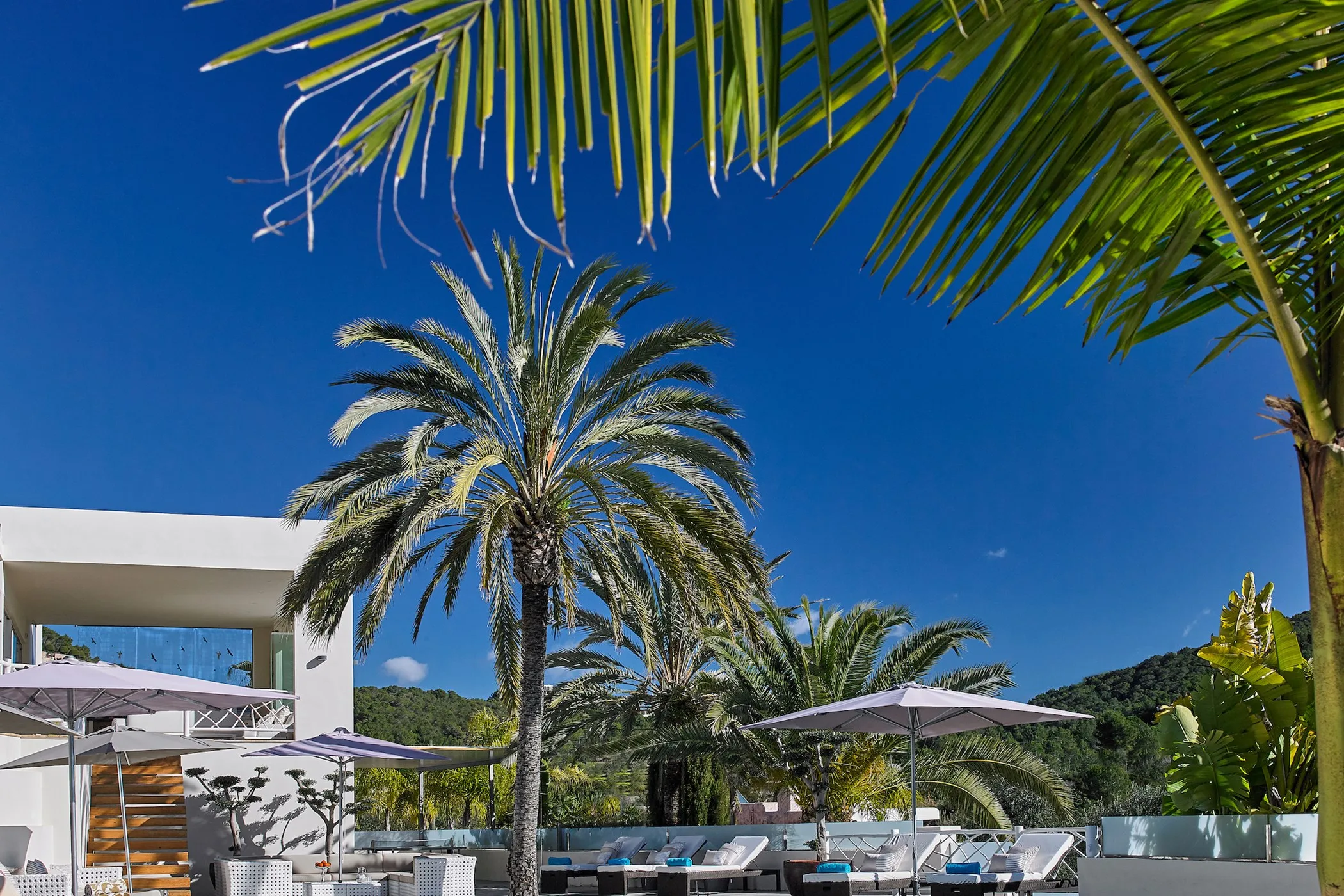 Villa Belinda — ibiza-town
