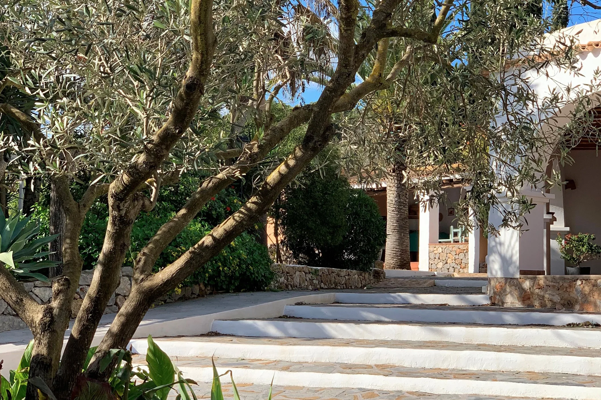 Can Orange — image 24