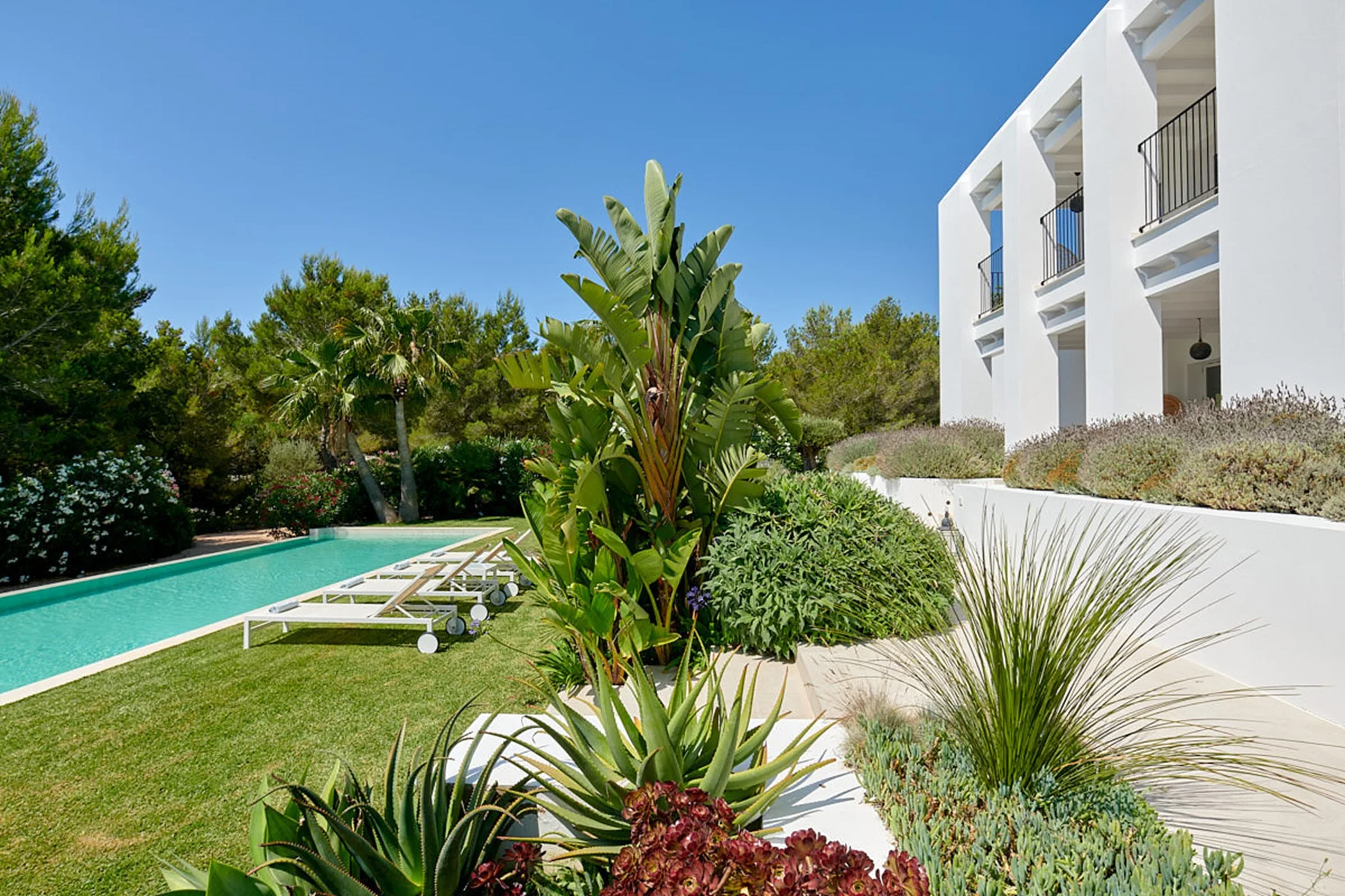 Can Frutal — image 10