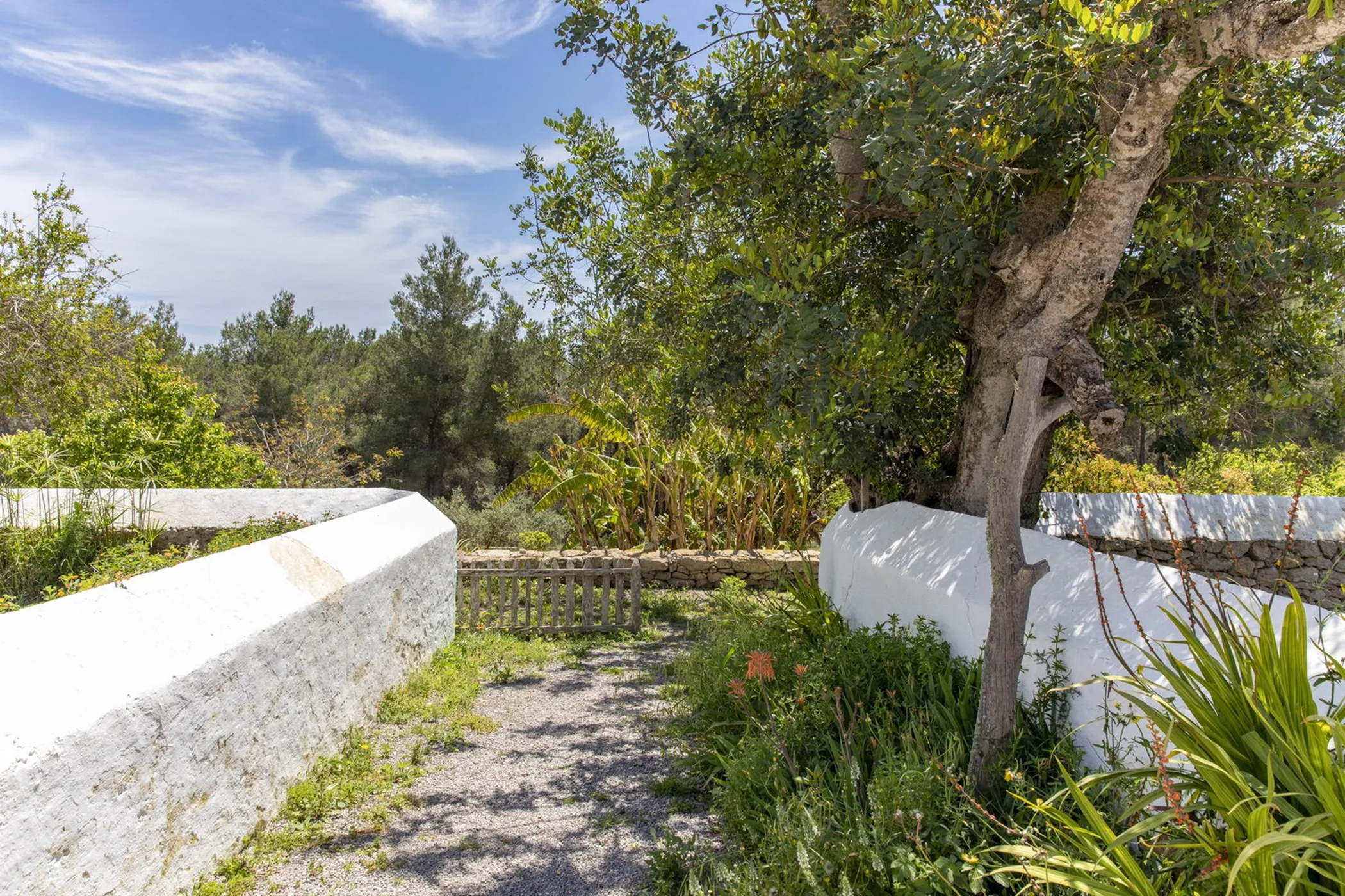 Can Puig Lorenzo — image 40