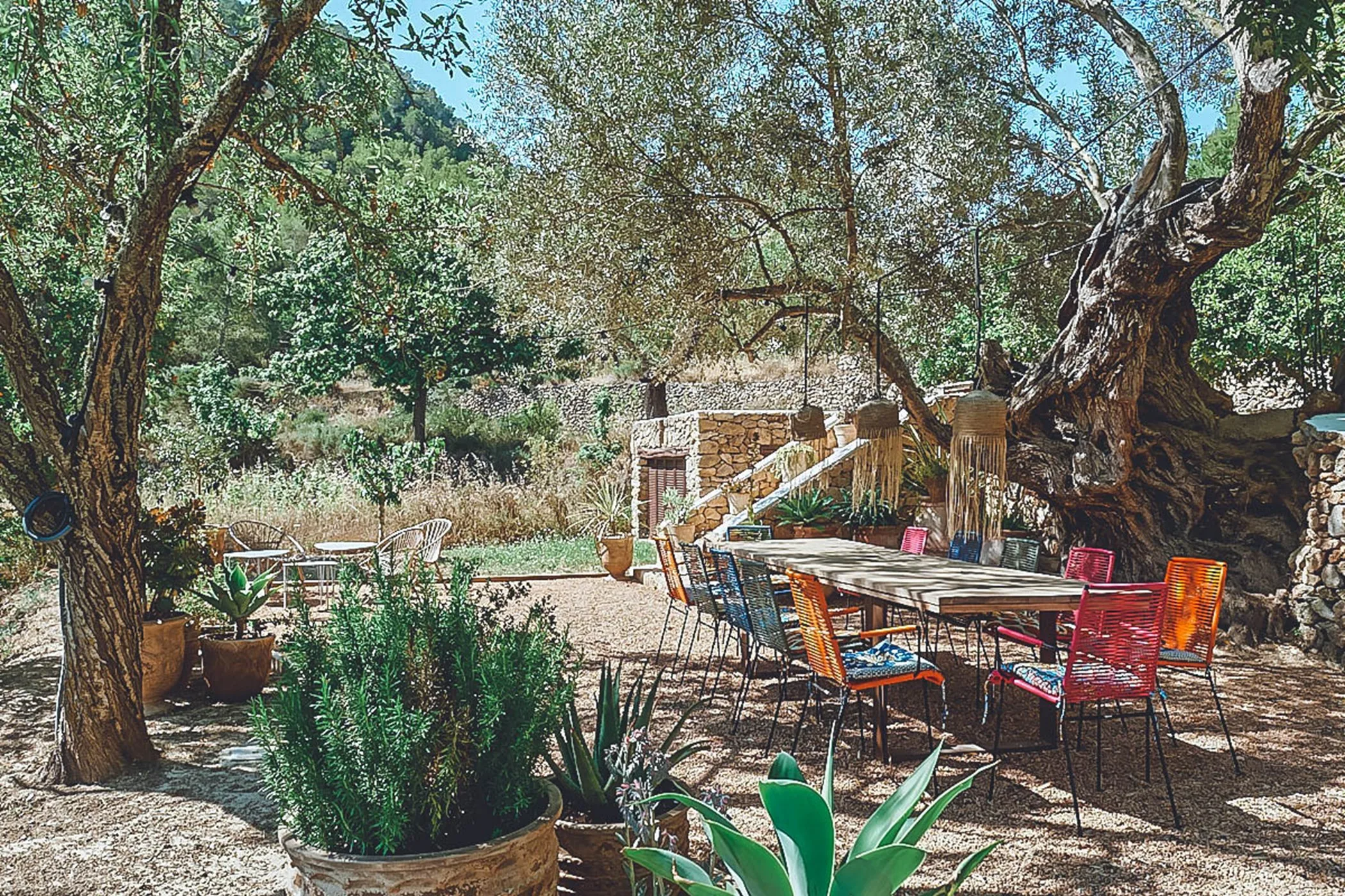 Can Elsa — image 43