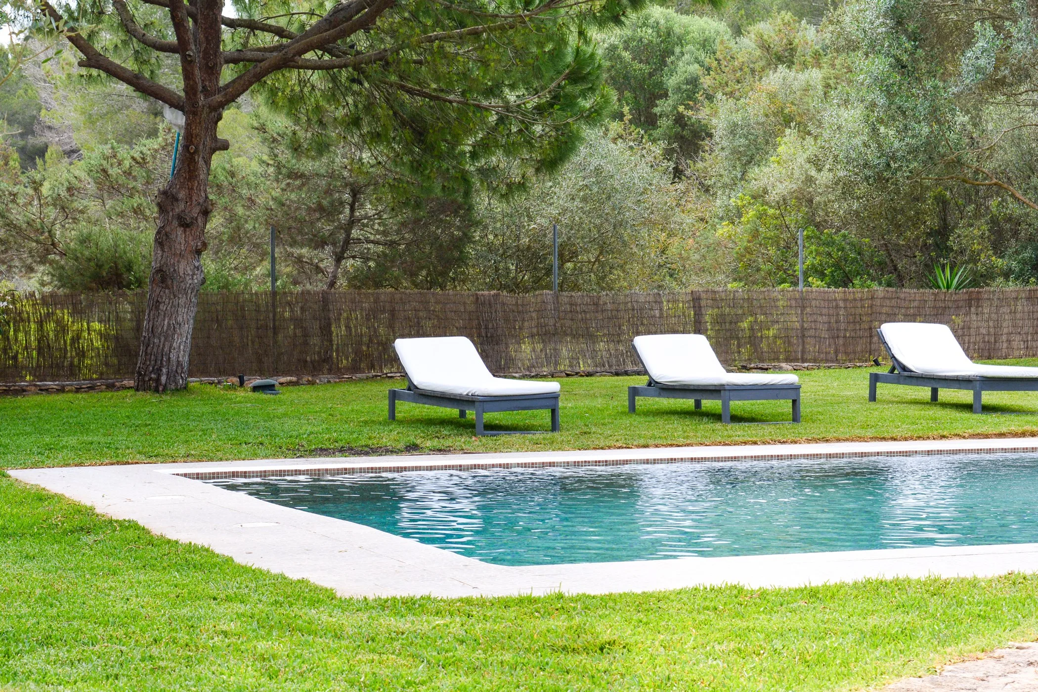 Finca Lucia — image 12
