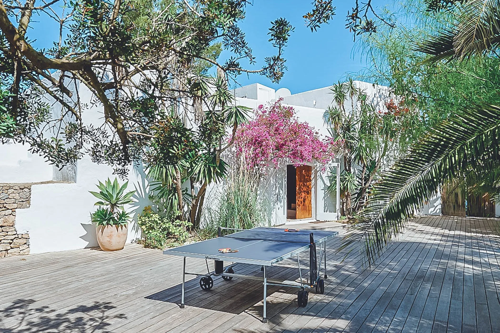 Can Elsa — image 14