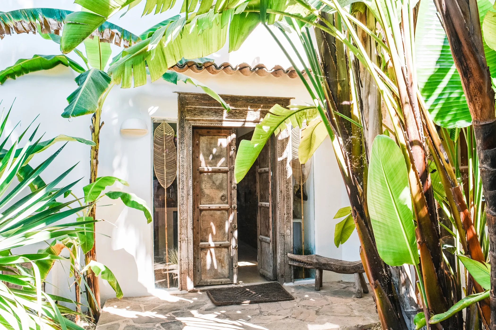 Cana Celeste — image 82