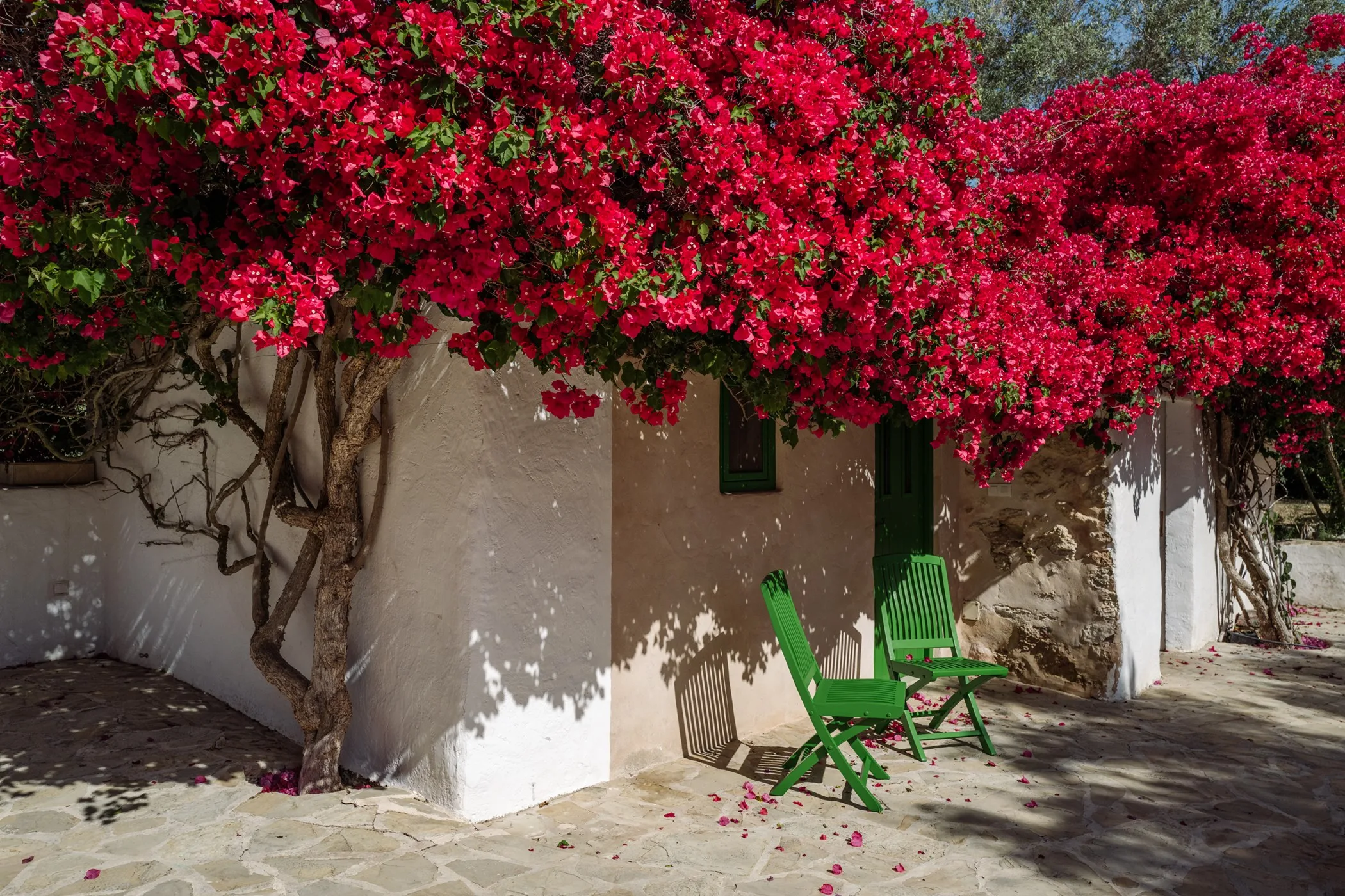 Can Xarraca — image 67